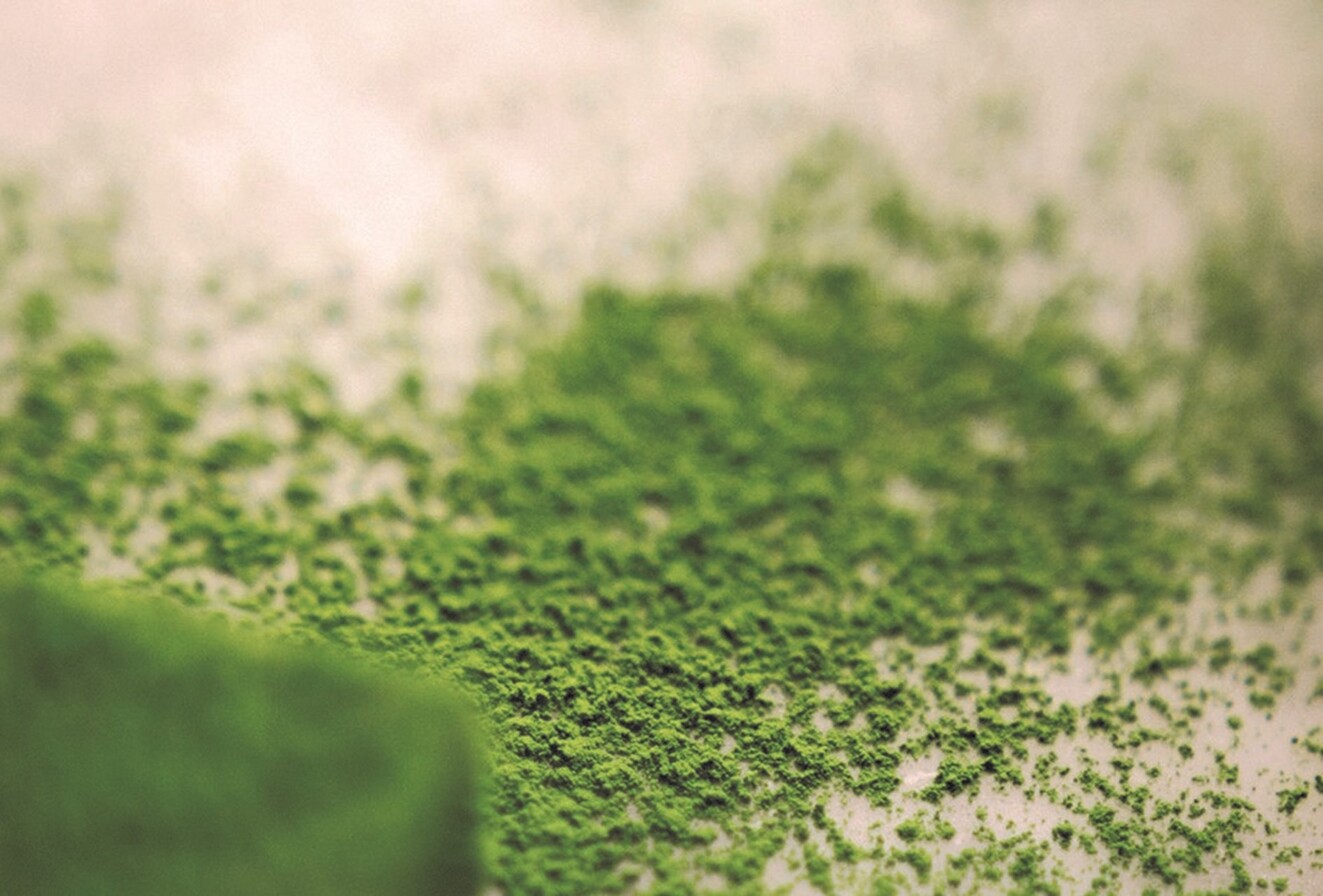 Is matcha a good substitute for coffee?
