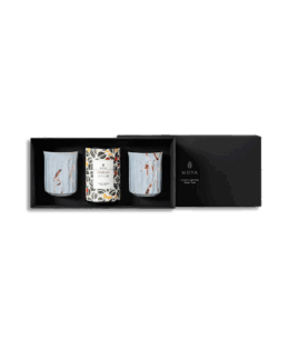 Moya tea & 2 Take mugs Organic leaf tea set